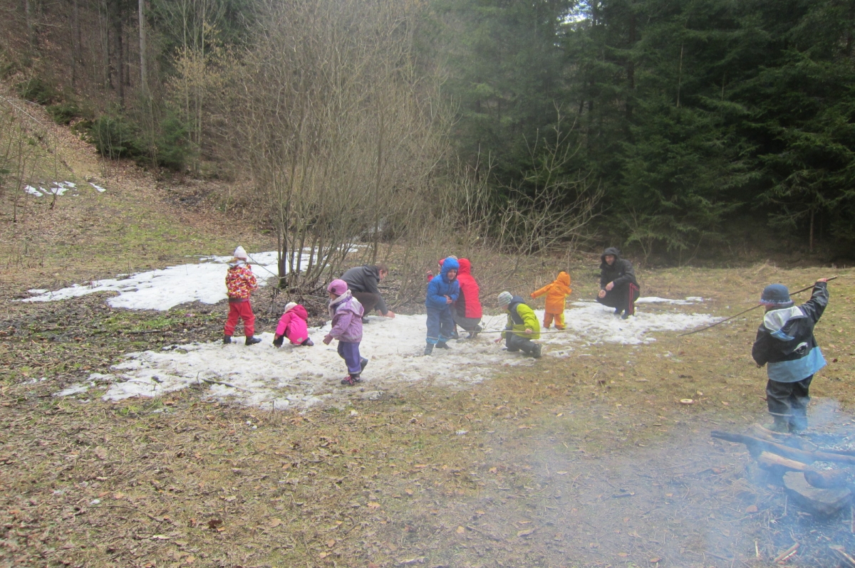 kraliky marec (13)
