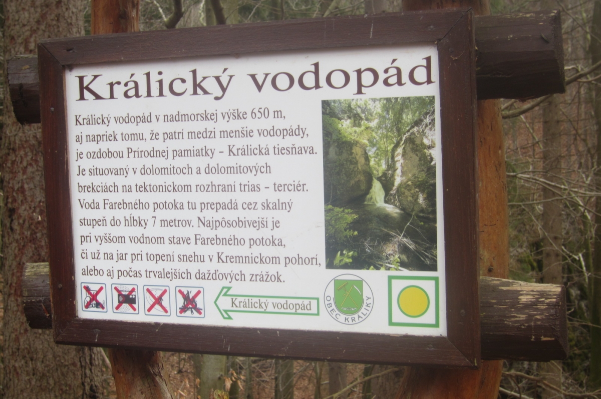 kraliky marec (14)