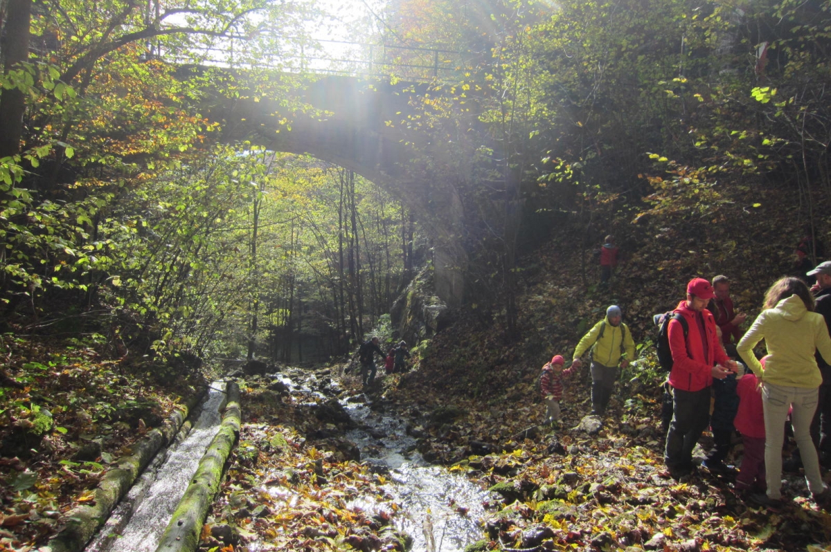 rakytovo (11) 