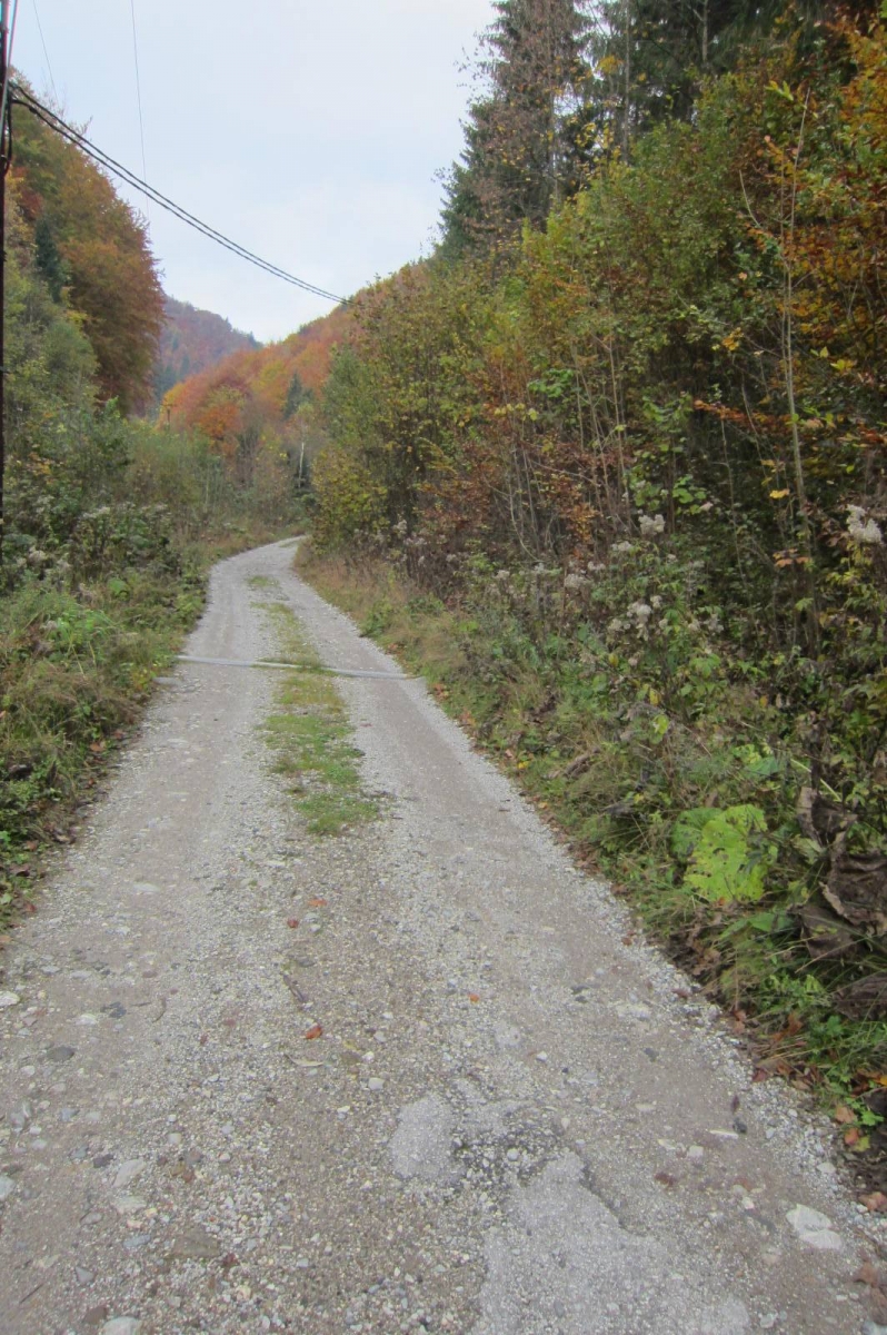 rakytovo (6) 