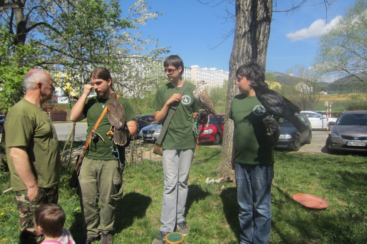 sokoliari (16) 
